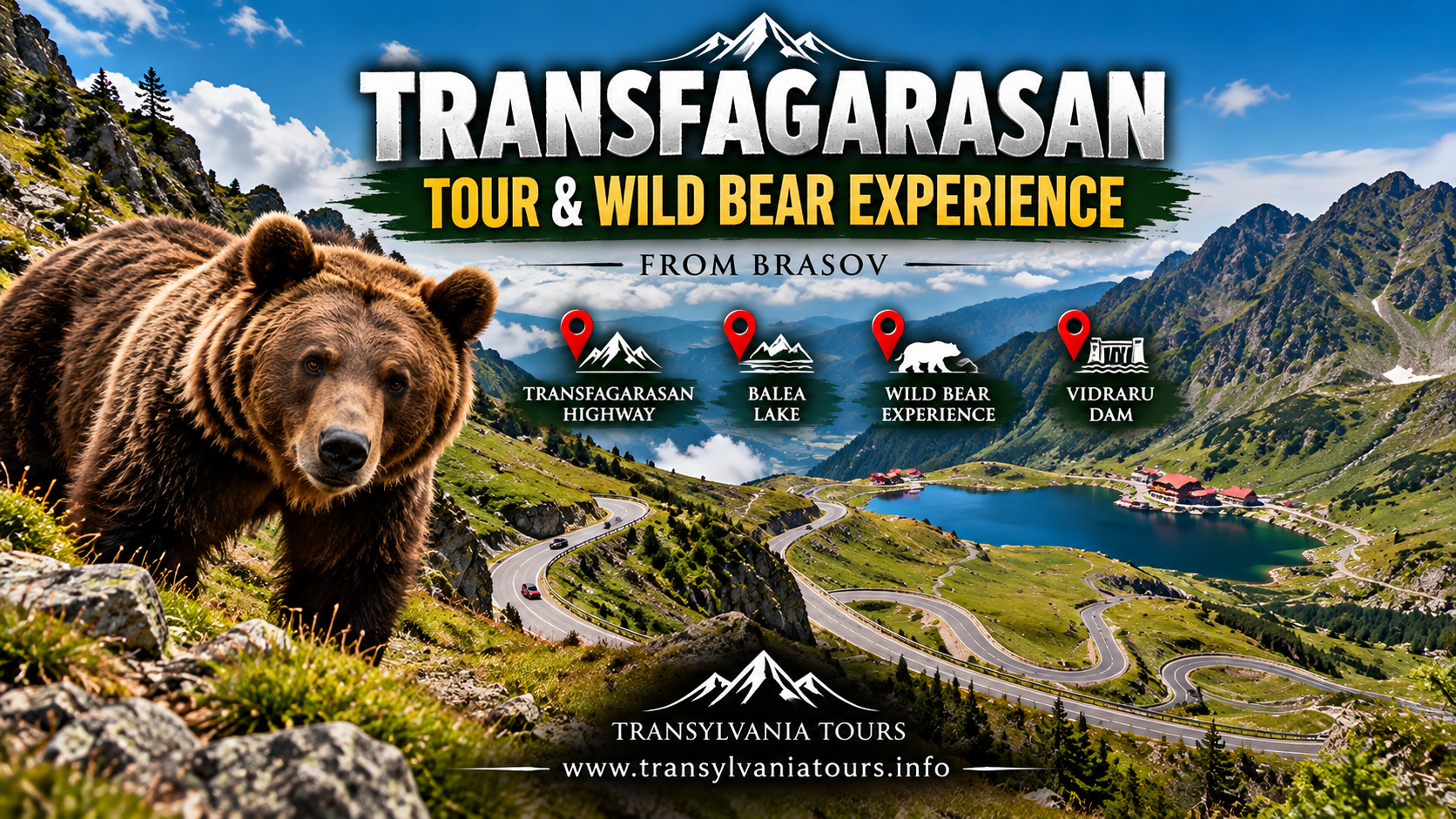 Transfagarasan and Sighisoara Tour from Brasov with Balea Lake, wild brown bear and Sighisoara Medieval Citadel